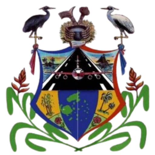 Nadi Town Council